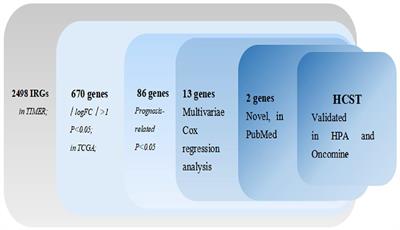 The Immune-Related Gene HCST as a Novel Biomarker for the Diagnosis and Prognosis of Clear Cell Renal Cell Carcinoma